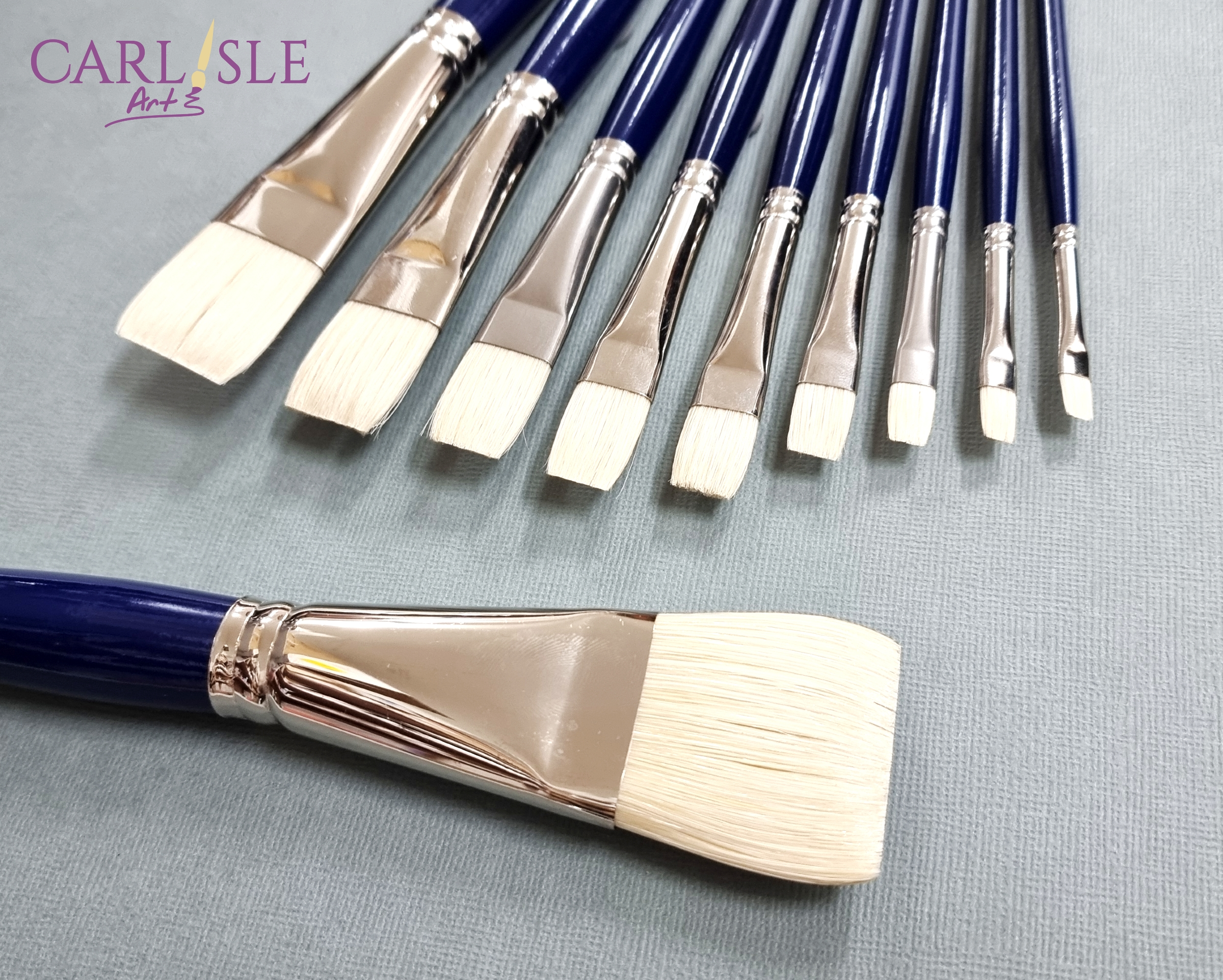 Pro Art Brush White Bristle Flat #8 Pkg, Paint Brushes, Acrylic Paint Brush  Set, Paint Brushes Acrylic Painting, Small Paint Brushes, Paintbrush,  Acrylic Paint Brushes 